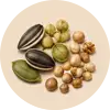 بذریجات