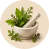 گیاهان دارویی