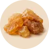صمغ